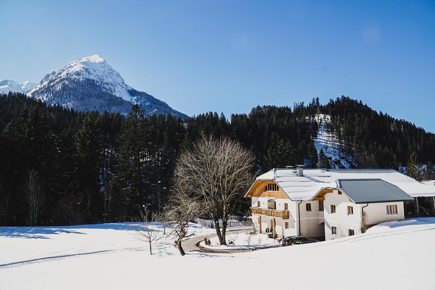 Winterurlaub im Salzburger Land - Ferienhaus/Chalet Bogenhof in Annaberg